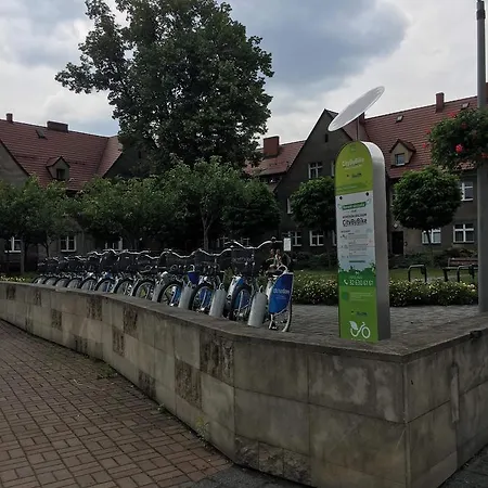 Madera Katowice