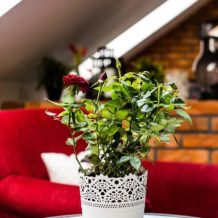 Apartamento Madera *