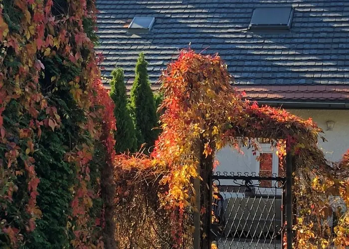 Madera Διαμέρισμα *